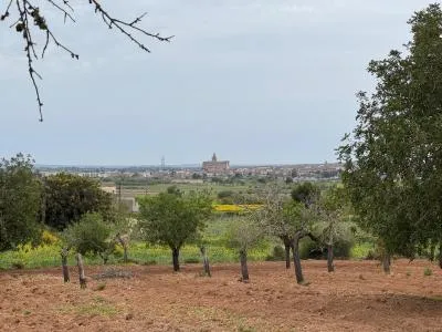 Rural Land - Porreres — photo 9