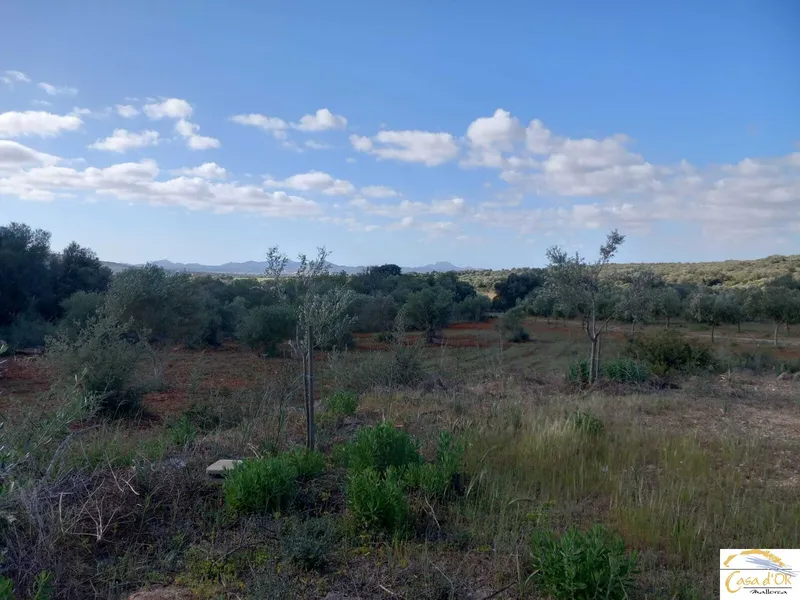 Contemporary Luxury Finca Project with Exceptional Development Potential in Mallorca — photo 11