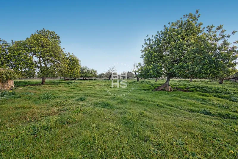 Rustic Finca for sale in María de la Salut — photo 7