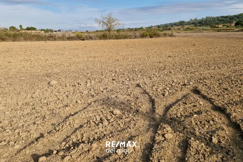 Rustic plot with well in Porreres — photo 4