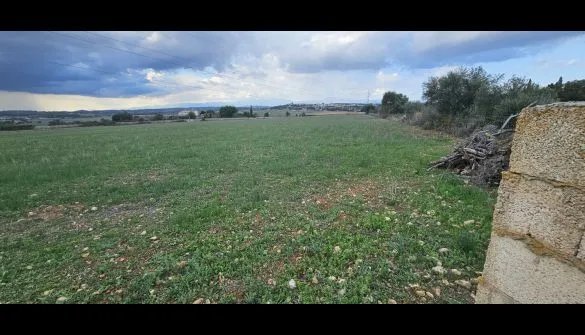Parcela en Ariany — photo 1