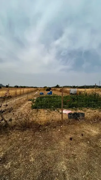 Plot of 3000 m2, urgent sale due to relocation to the mainland — photo 11