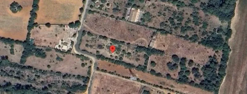 Rustic finca in Llubí - Ideal for agricultural use — photo 1