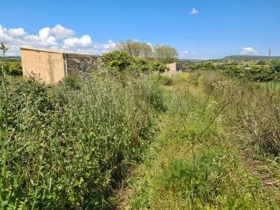 Country House - Manacor, Plot Surface 1650m² — photo 4