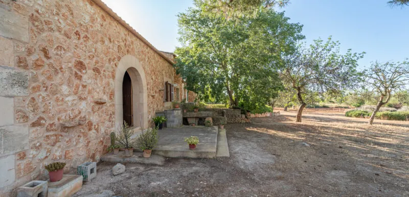Country house for sale in Campos with land, orchard and own well — photo 4