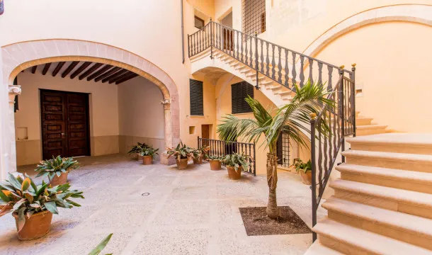 Cozy apartment in the old town of Palma — photo 3