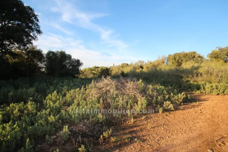 Rustic Finca in Manacor — photo 1