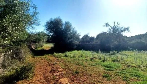 Countryside property in Son... — photo 4
