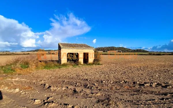 Buildable rustic plot for sale in Montuïri — photo 7