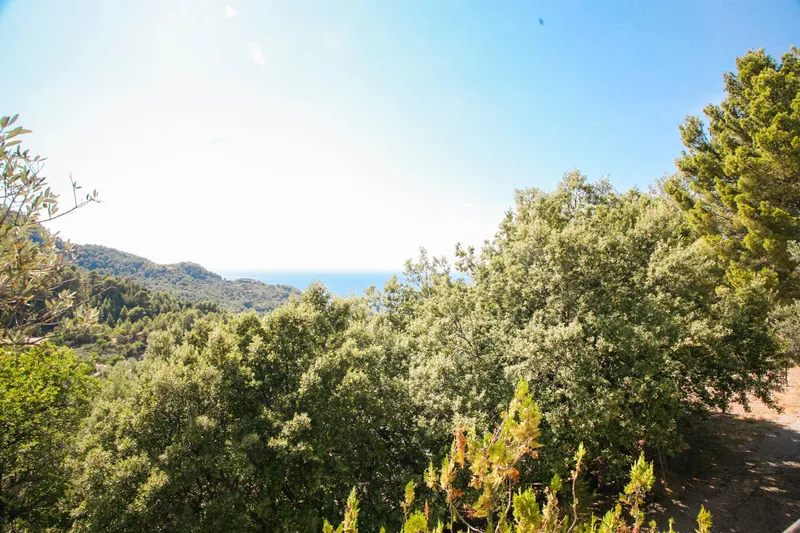 Ref. 2139C – Estellencs – Finca with fantastic panoramic views — photo 6