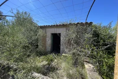 Sale Fincas San Lorenzo — photo 2
