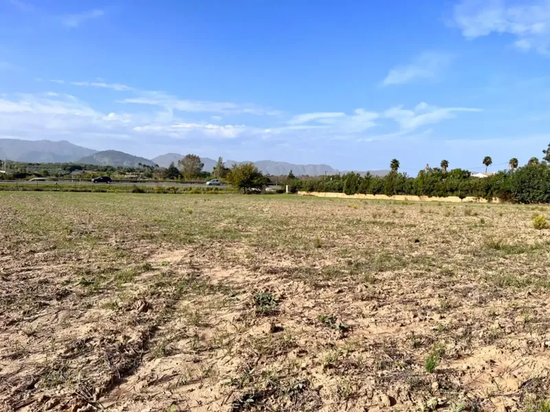 On the outskirts of Alcudia, we have this finca of about 12,900 m2 of land, with a water well, fenced finca, with 1 building in ruins. — photo 7