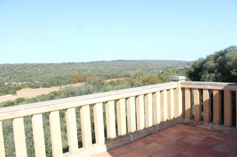 Fantastic house for sale with guest apartment between Manacor and Alcudia — photo 5