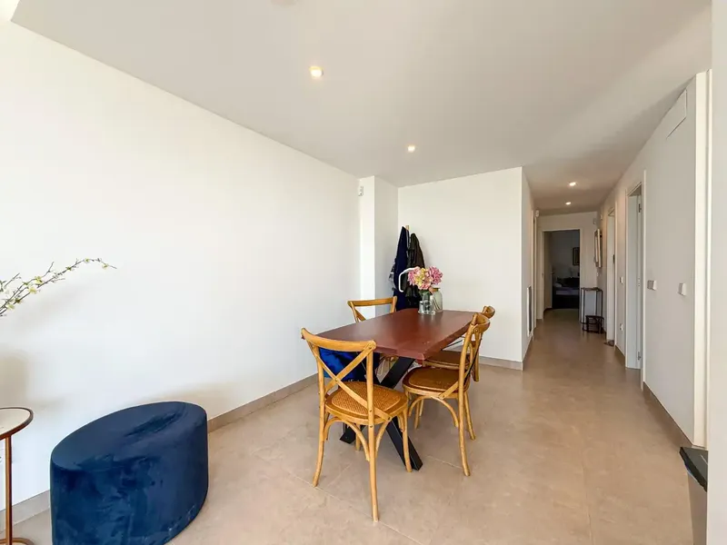 Discover this magnificent semi-new penthouse — photo 3