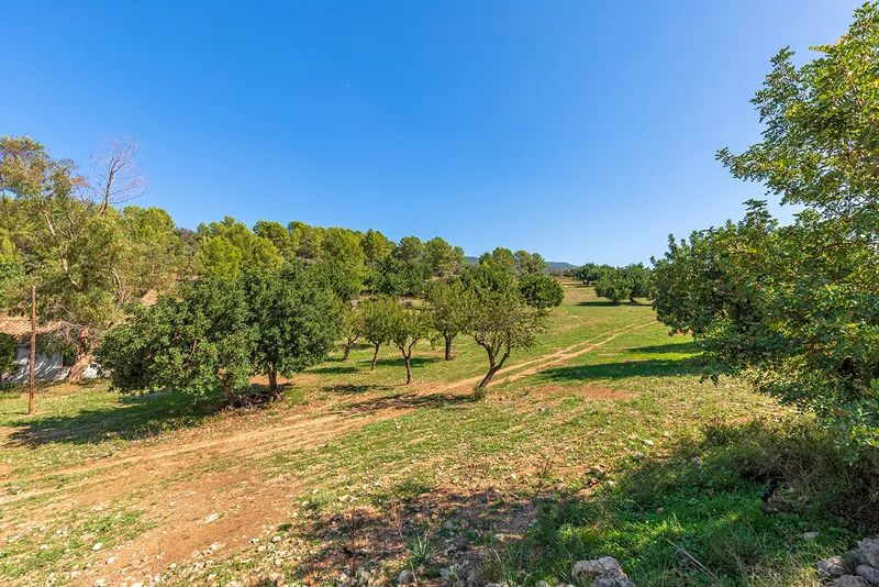Plot in Bunyola - drone shot with view of the property — photo 3