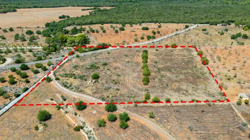 Land in Colònia de Sant Pere, Province of Balearic Islands — photo 8