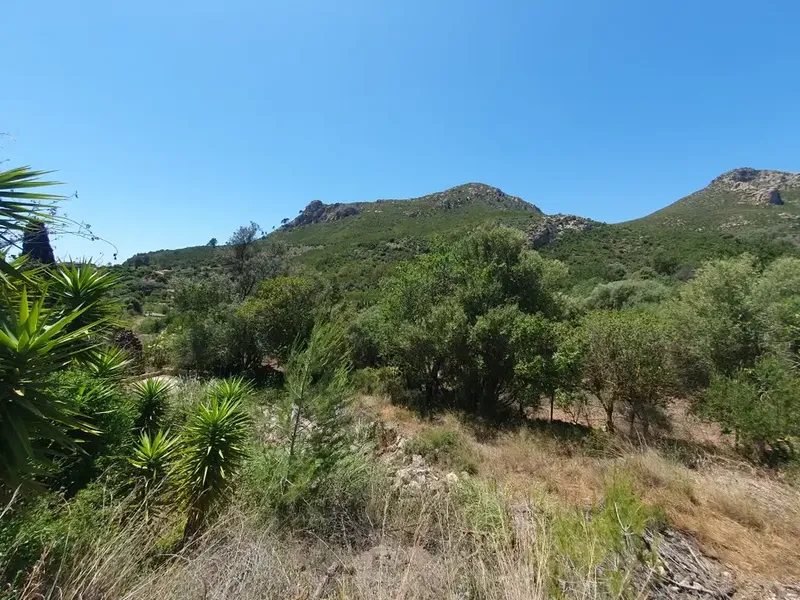 Investment opportunity: a traditional finca on a large private plot surrounded by beautiful views in the rural area of Andratx — photo 1