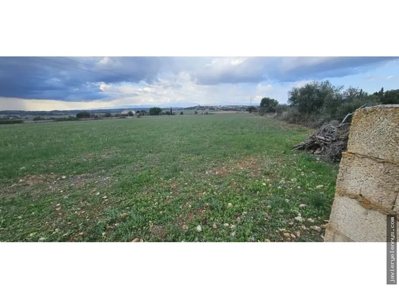 Plot for sale on Camino de Son Reixach s/n — photo 3
