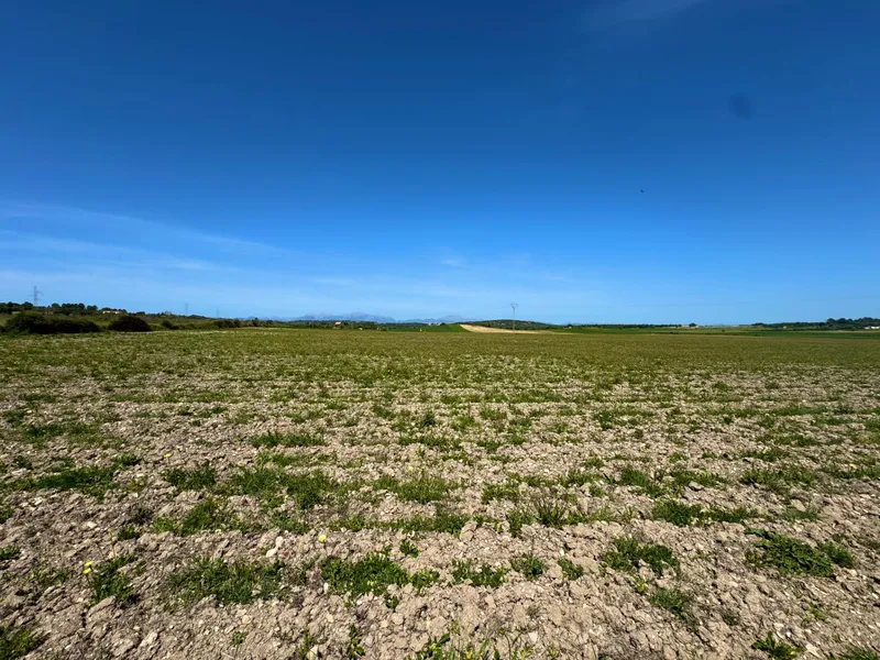 Exclusive Real Estate Opportunity in Petra Dream Plot with Endless Possibilities — photo 8