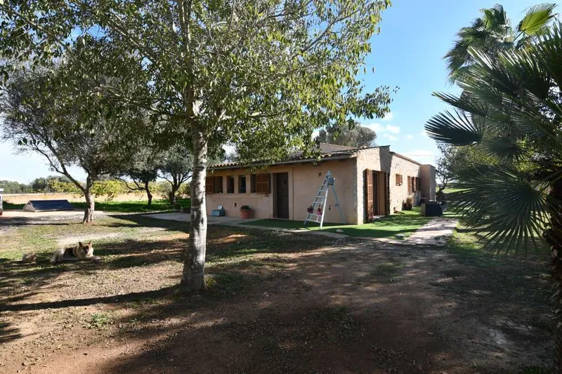 Cozy self-sufficient country house with the possibility of building a pool in Felanitx — photo 3