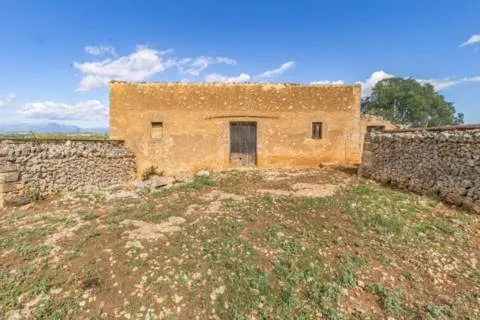 House — photo 5