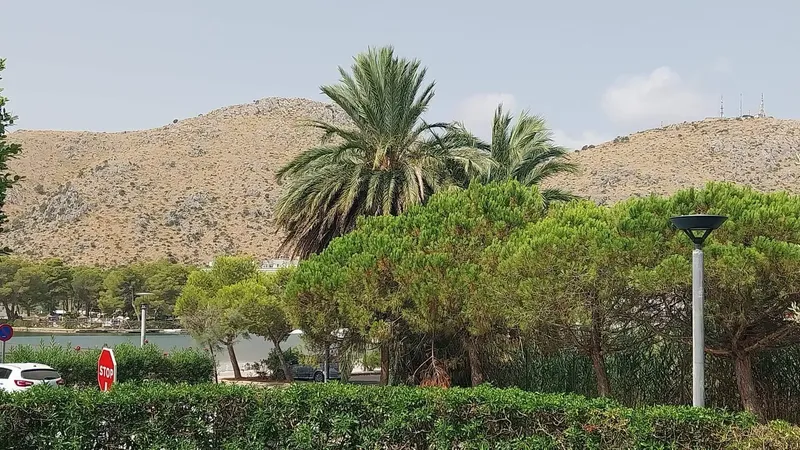 Rx-mallorca: Charming ground floor in Puerto de Alcudia — photo 6