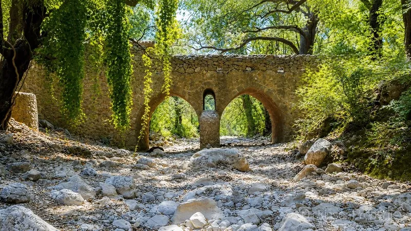 Building Plot for Sale in Pollença Pueblo, Pollença, Mallorca, Baleares, Spain — photo 5