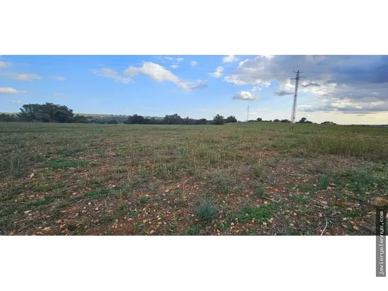 Plot for sale on Camino de Son Reixach s/n — photo 2