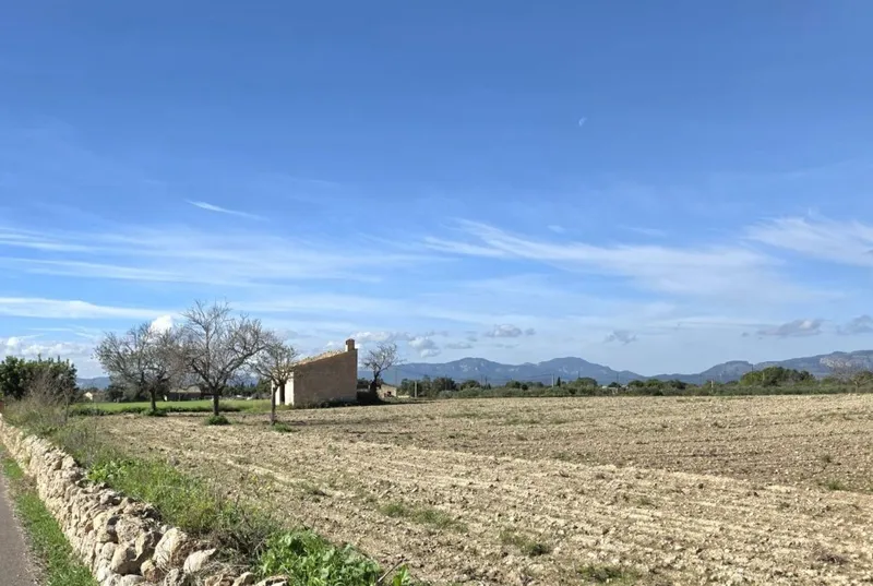 Plot with small house — photo 6
