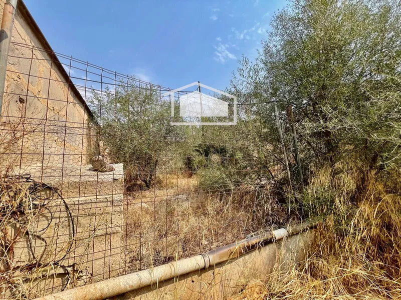 Buildable urban plot in Ses Salines — photo 5