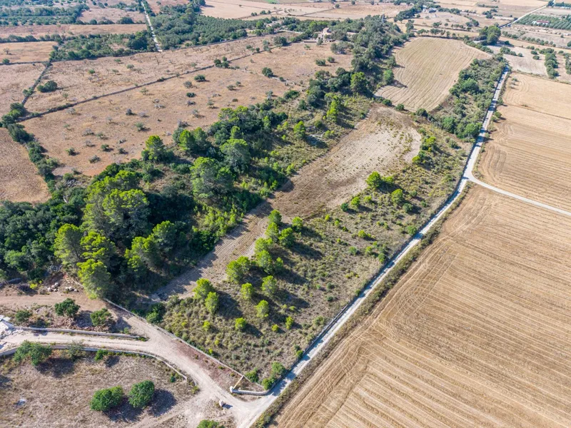 Buildable plot of 29,547 m² with open views in Petra — photo 9