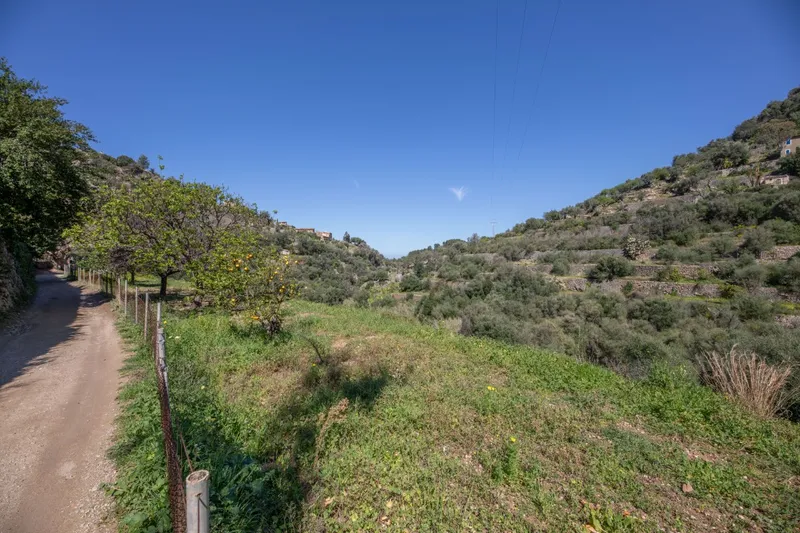 Urbane plot in Deià — photo 4