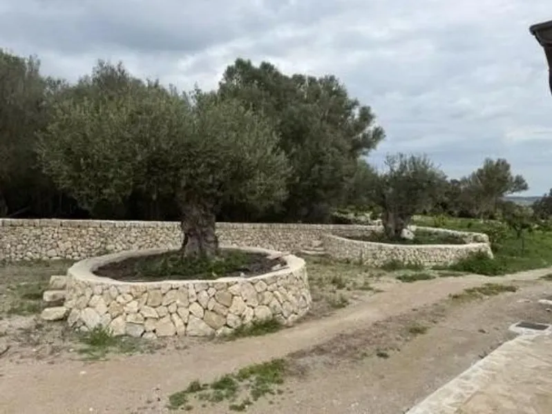 Rural or Farmhouse in Montuïri, Province of Balearic Islands — photo 10