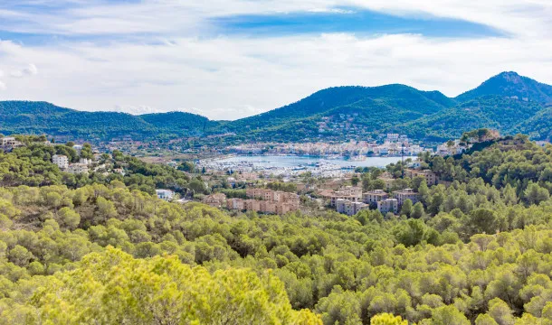Totally private rustic finca, just minutes from the cosmopolitan Port of Andratx. — photo 4