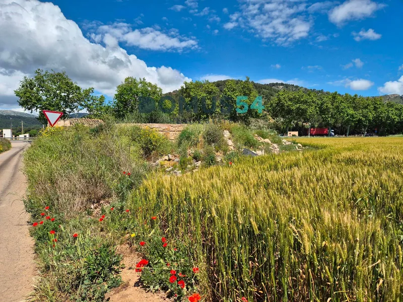 plot in Sa Pobla — photo 5