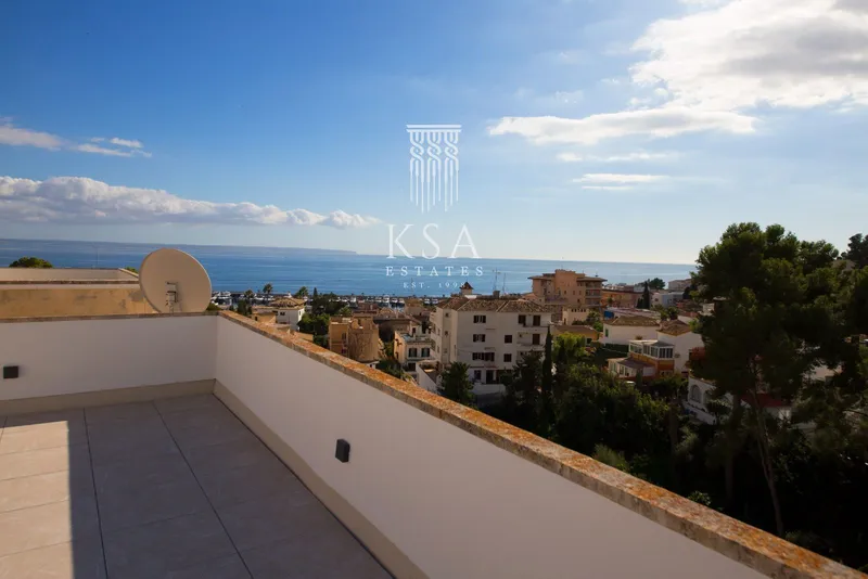 Penthouse — photo 2