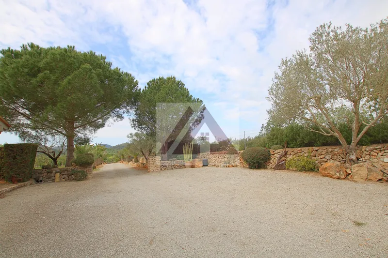 Country house for rent in Manacor — photo 5