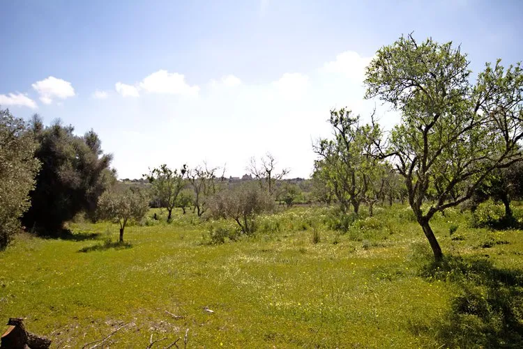 S'Alqueria Blanca, rural property in a prime location G02961 — photo 1