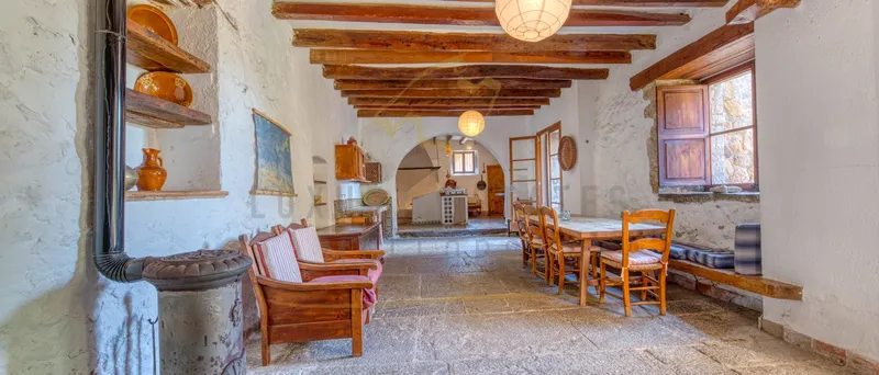 Charming rustic finca in Estellencs in the Tramuntana with partial sea views and olive grove — photo 7