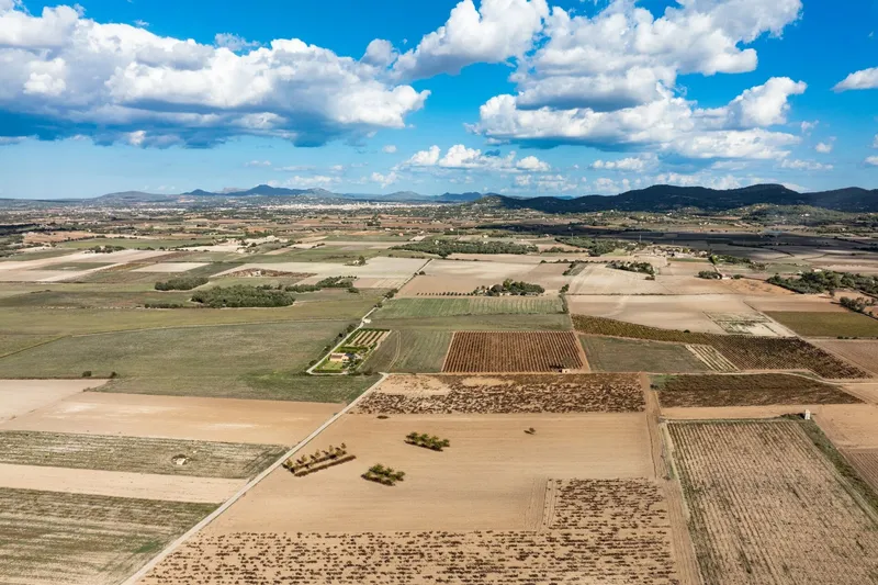 Mediterranean building plot with approved finca project and panoramic views near Manacor — photo 6