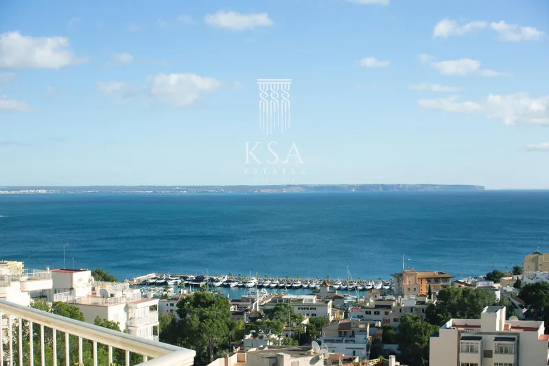 Penthouse — photo 1