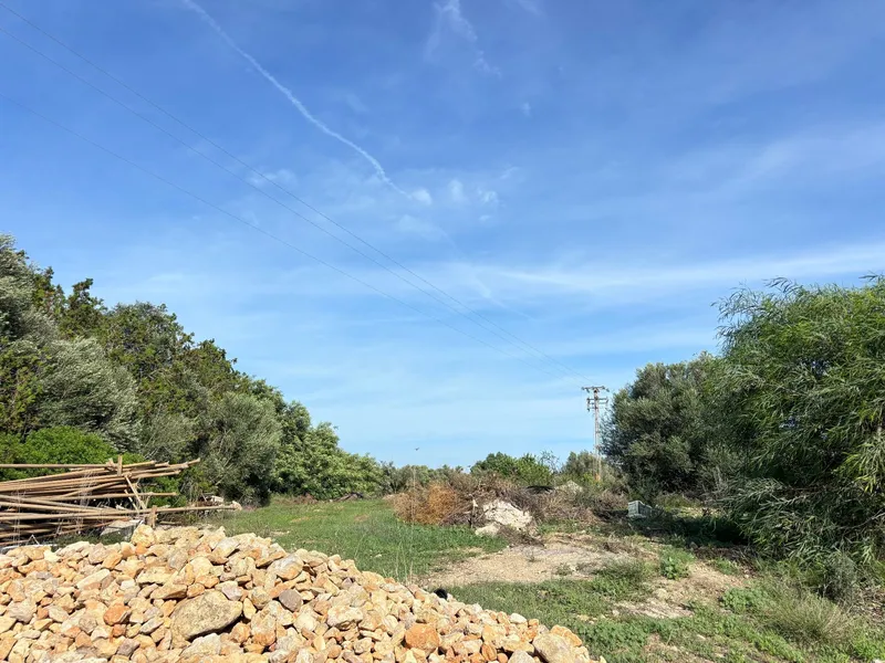 House / Chalet in Manacor — photo 7