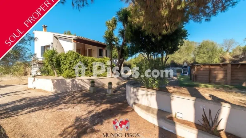 Rustic finca in Montuiri — photo 2
