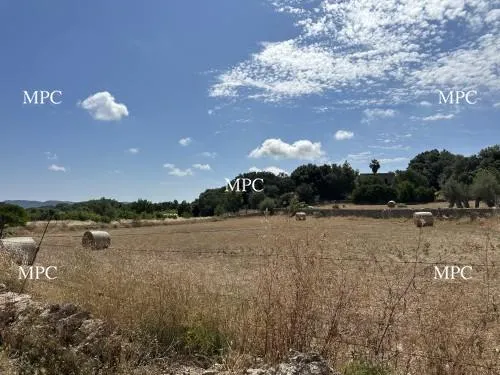 Countryside plot with building project in Arta — photo 1