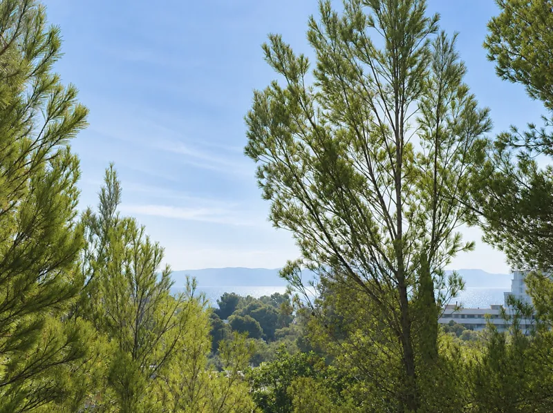 Plot with sea views, 600 m from the sea, in Cala Vinyes, Calviá — photo 2