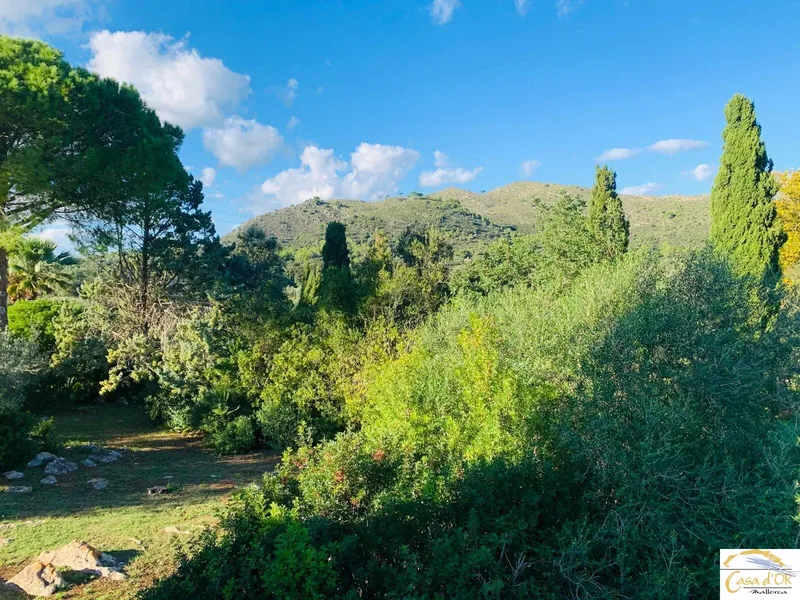 Authentic finca with Mediterranean charm and mature trees near Capdepera — photo 9