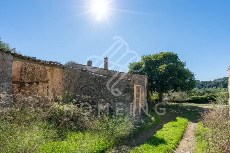 The Castell d'Amos estate, located in Costitx, has an area of 252,000 square meters and borders the municipalities of Sineu and Llor — photo 3