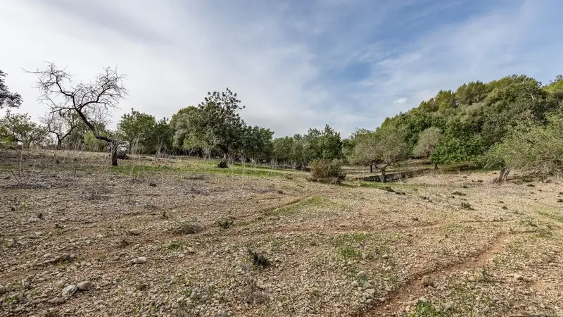 Nestled in the picturesque hill landscape of the Serra de Tramuntana, this 16,000 m2 finca is located near the village — photo 3
