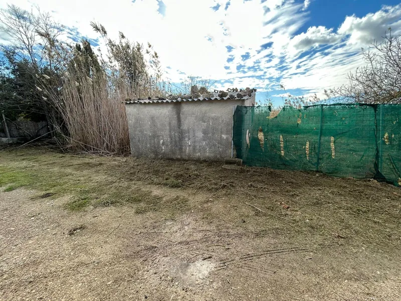 Rustic plot in Sa Pobla — photo 7