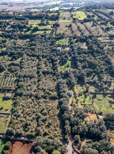 Luxury home in Llubí, Province of Balearic Islands — photo 10